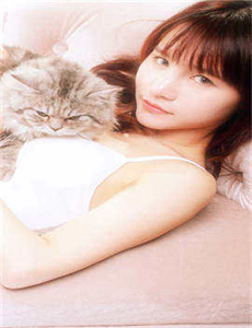 芳心蒙昧