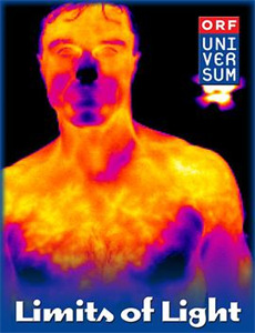 大闹婚礼后忠犬总裁非我不娶